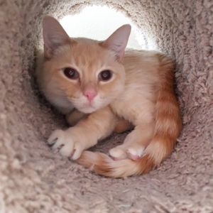 Meet your Posher, Kelly